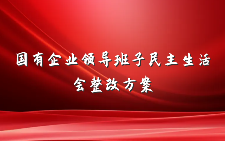 国有企业领导班子民主生活会整改方案