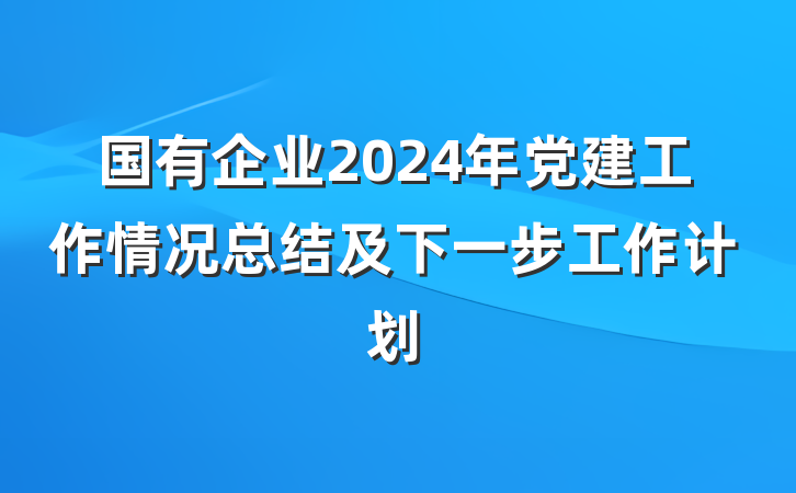 国有企业2024年党建工作情况总结及下一步工作计划