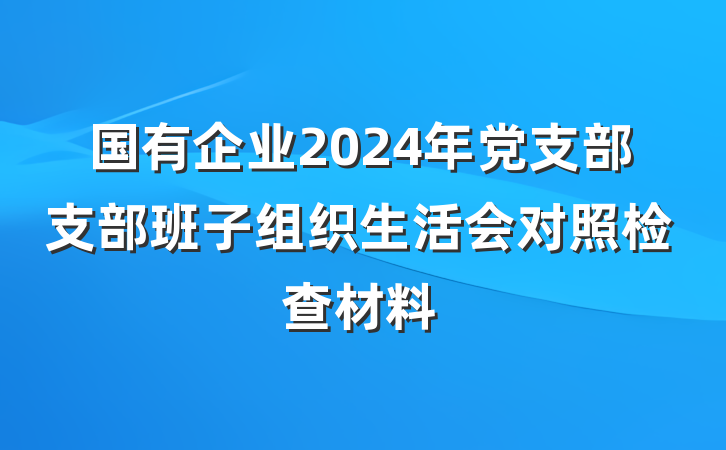 国有企业2024年党支部支部班子组织生活会对照检查材料
