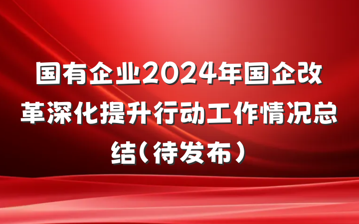 国有企业2024年国企改革深化提升行动工作情况总结（待发布）