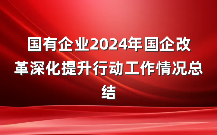 国有企业2024年国企改革深化提升行动工作情况总结