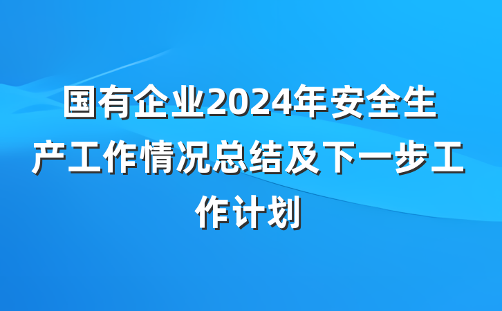 国有企业2024年安全生产工作情况总结及下一步工作计划
