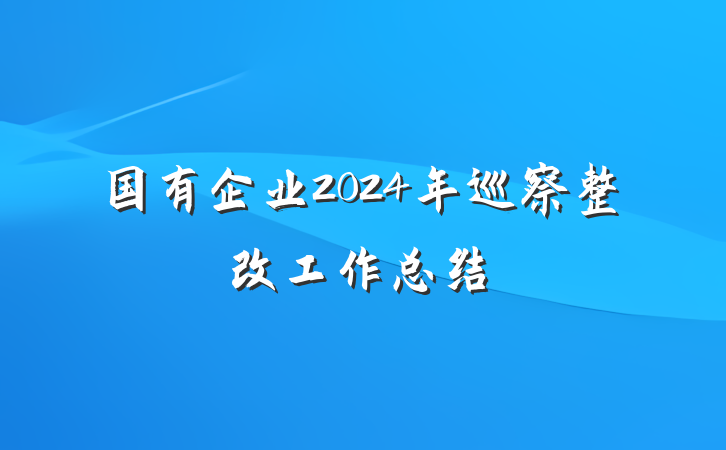 国有企业2024年巡察整改工作总结