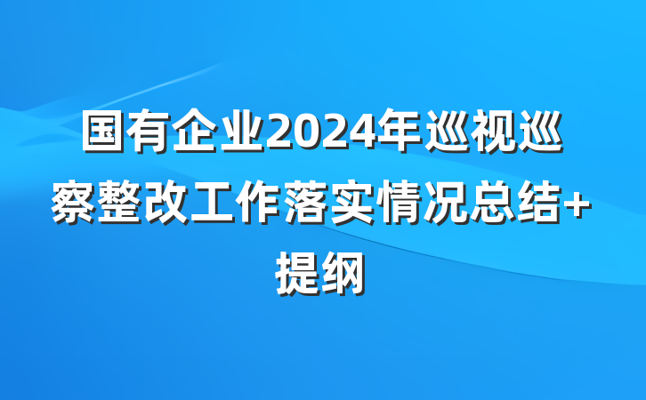 国有企业2024年巡视巡察整改工作落实情况总结 提纲