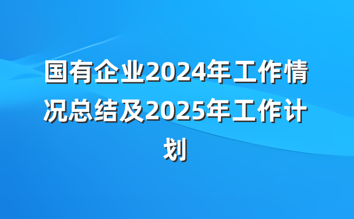 国有企业2024年工作情况总结及2025年工作计划