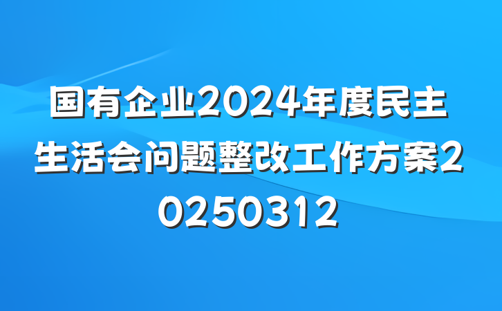 国有企业2024年度民主生活会问题整改工作方案20250312