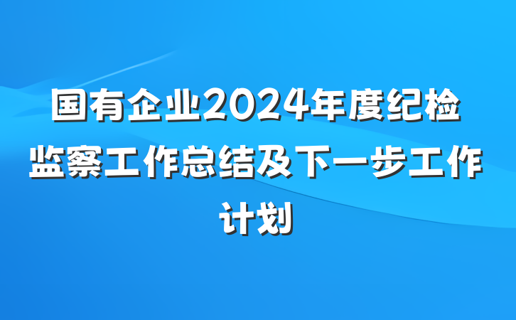 国有企业2024年度纪检监察工作总结及下一步工作计划