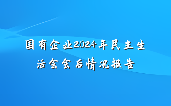 国有企业2024年民主生活会会后情况报告