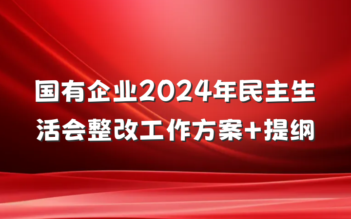 国有企业2024年民主生活会整改工作方案 提纲