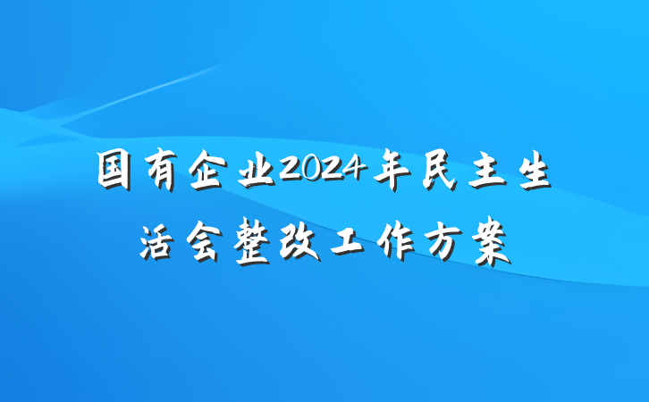 国有企业2024年民主生活会整改工作方案