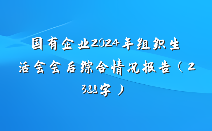 国有企业2024年组织生活会会后综合情况报告（2388字）