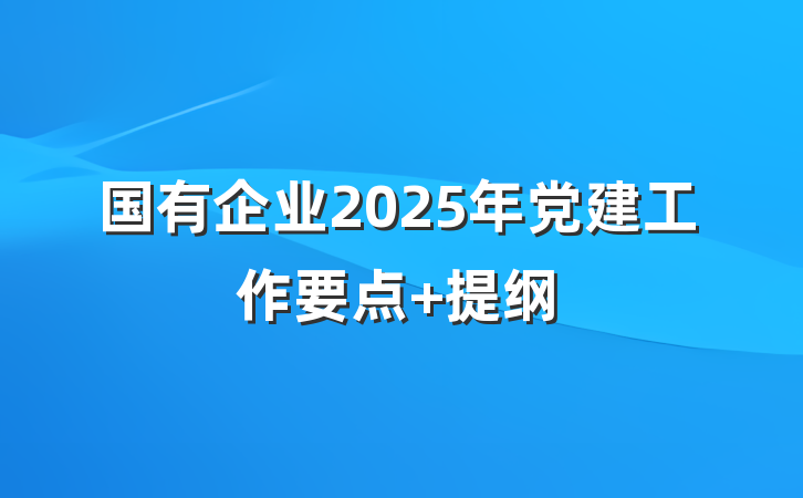 国有企业2025年党建工作要点 提纲