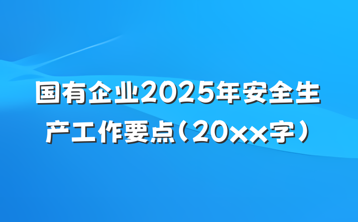 国有企业2025年安全生产工作要点（20xx字）