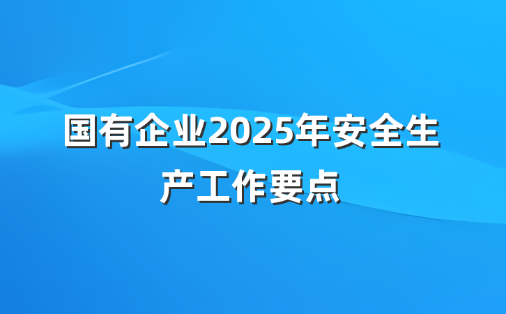 国有企业2025年安全生产工作要点