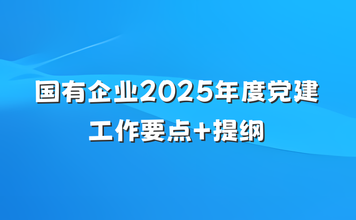 国有企业2025年度党建工作要点 提纲