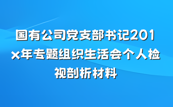 国有公司党支部书记201x年专题组织生活会个人检视剖析材料