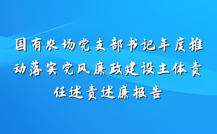 国有农场党支部书记年度推动落实党风廉政建设主体责任述责述廉报告