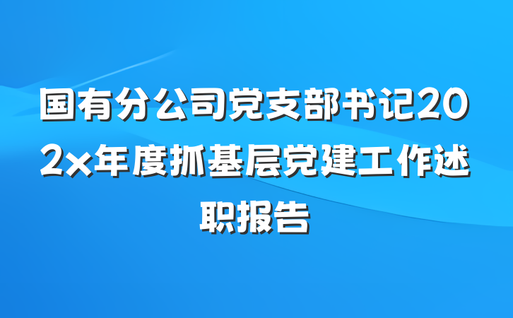 国有分公司党支部书记202x年度抓基层党建工作述职报告