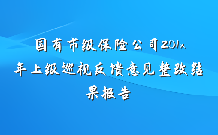 国有市级保险公司201x年上级巡视反馈意见整改结果报告