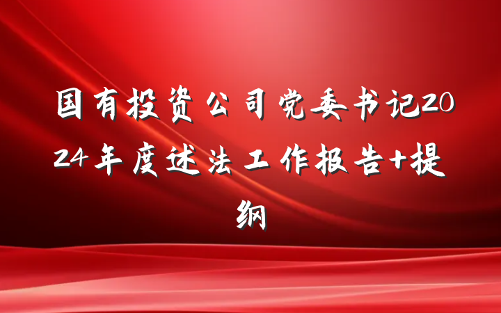 国有投资公司党委书记2024年度述法工作报告 提纲