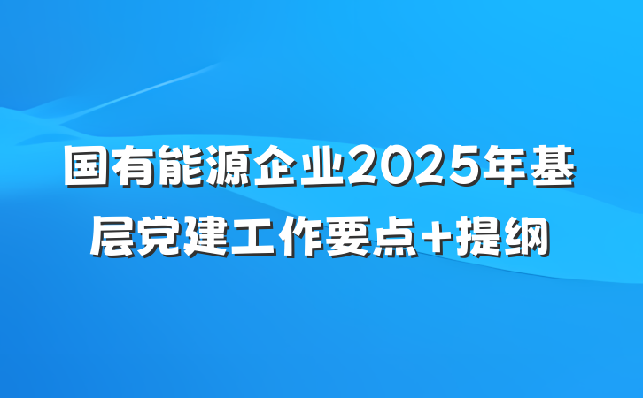 国有能源企业2025年基层党建工作要点 提纲