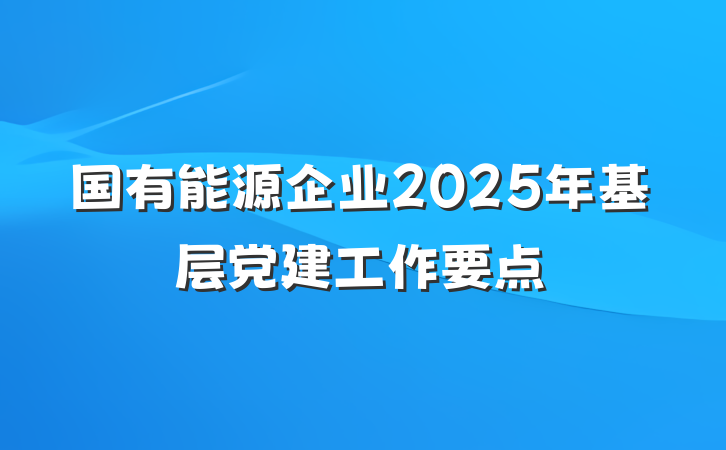 国有能源企业2025年基层党建工作要点