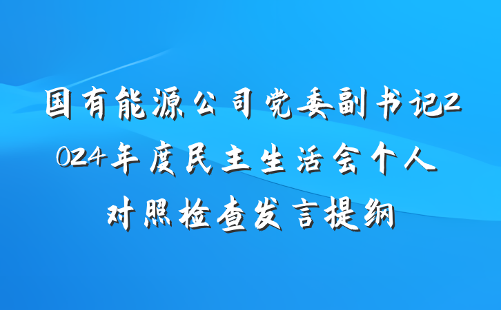 国有能源公司党委副书记2024年度民主生活会个人对照检查发言提纲