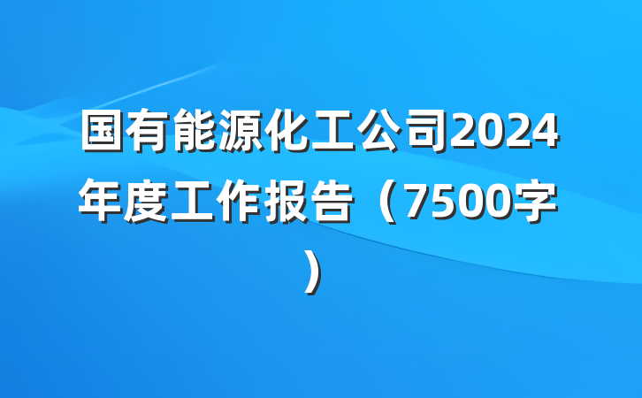 国有能源化工公司2024年度工作报告（7500字）