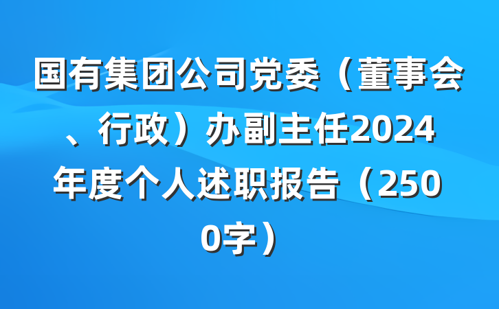 国有集团公司党委（董事会、行政）办副主任2024年度个人述职报告（2500字）