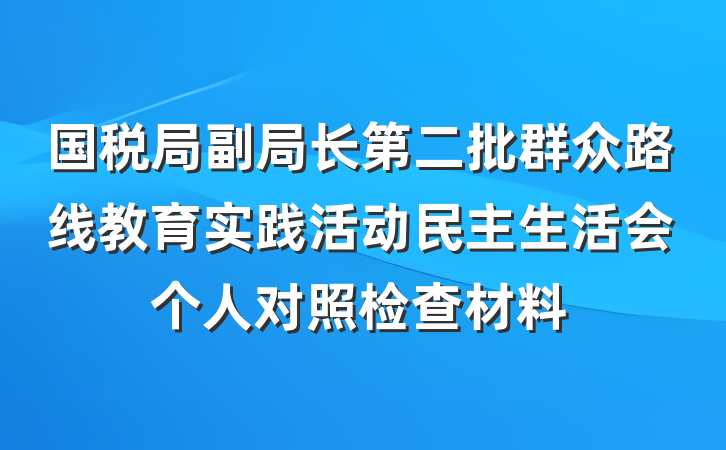 国税局副局长第二批群众路线教育实践活动民主生活会个人对照检查材料