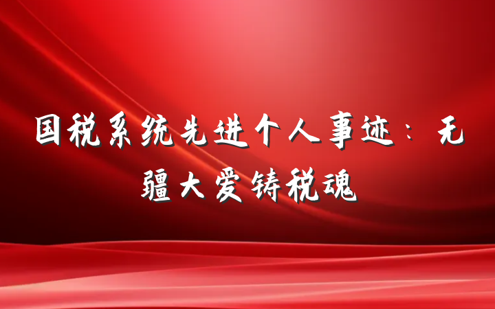 国税系统先进个人事迹：无疆大爱铸税魂