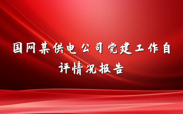 国网某供电公司党建工作自评情况报告