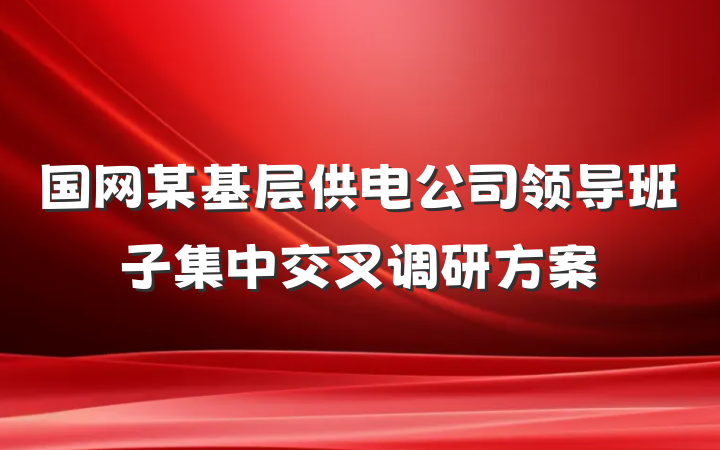 国网某基层供电公司领导班子集中交叉调研方案