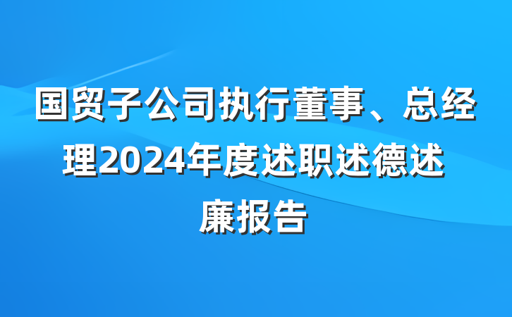 国贸子公司执行董事、总经理2024年度述职述德述廉报告