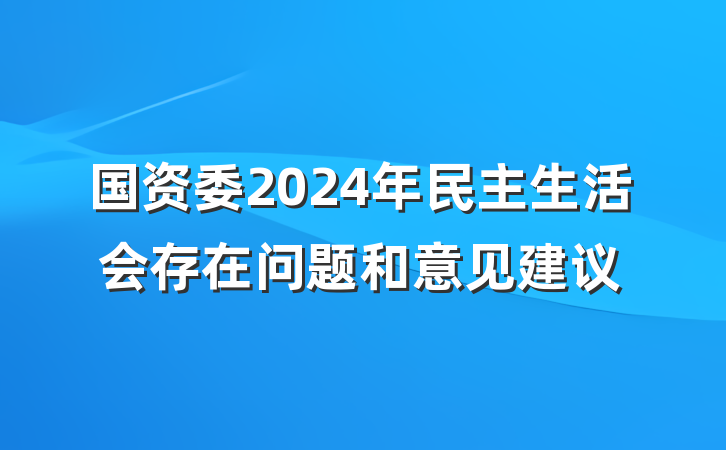国资委2024年民主生活会存在问题和意见建议