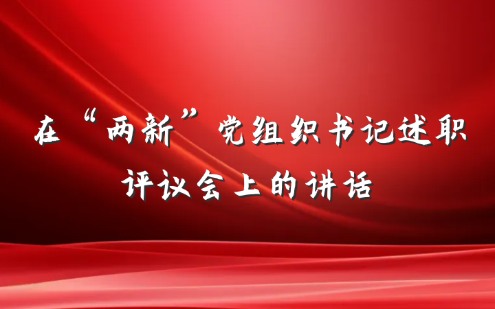 在“两新”党组织书记述职评议会上的讲话