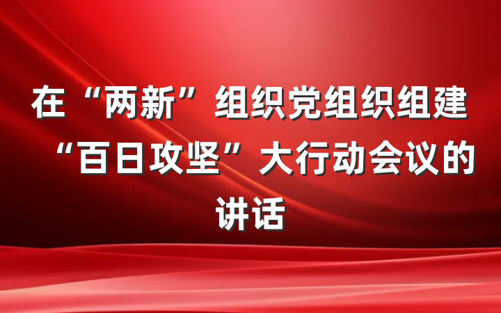 在“两新”组织党组织组建“百日攻坚”大行动会议的讲话