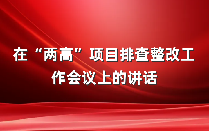 在“两高”项目排查整改工作会议上的讲话