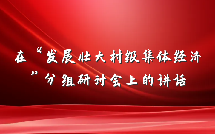 在“发展壮大村级集体经济”分组研讨会上的讲话