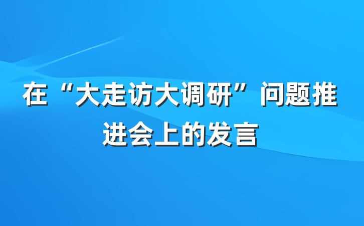 在“大走访大调研”问题推进会上的发言