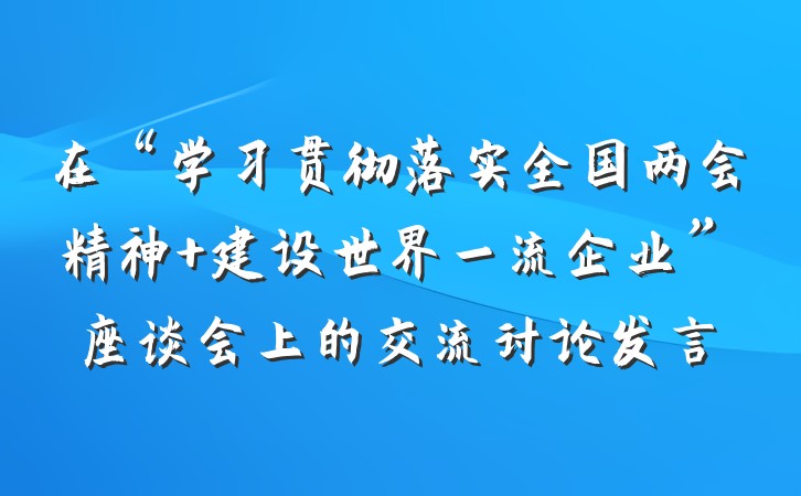 在“学习贯彻落实全国两会精神 建设世界一流企业”座谈会上的交流讨论发言