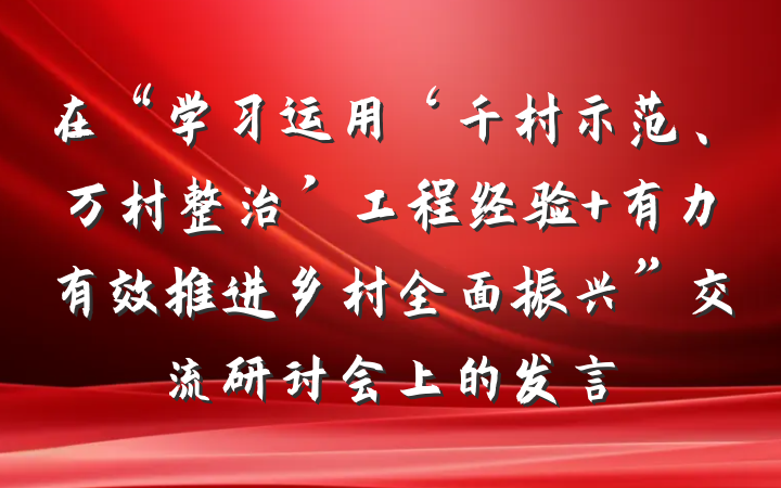 在“学习运用‘千村示范、万村整治’工程经验 有力有效推进乡村全面振兴”交流研讨会上的发言