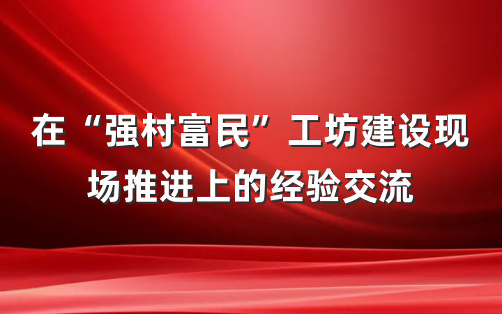 在“强村富民”工坊建设现场推进上的经验交流