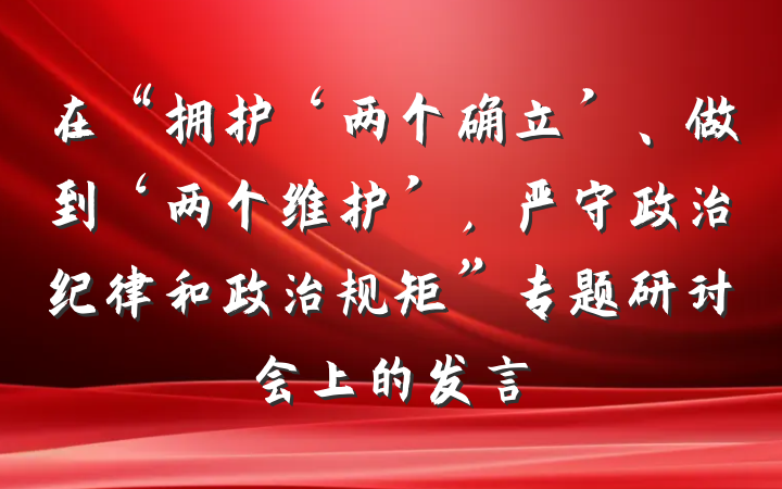 在“拥护‘两个确立’、做到‘两个维护’，严守政治纪律和政治规矩”专题研讨会上的发言