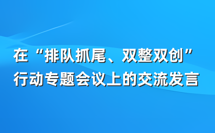 在“排队抓尾、双整双创”行动专题会议上的交流发言