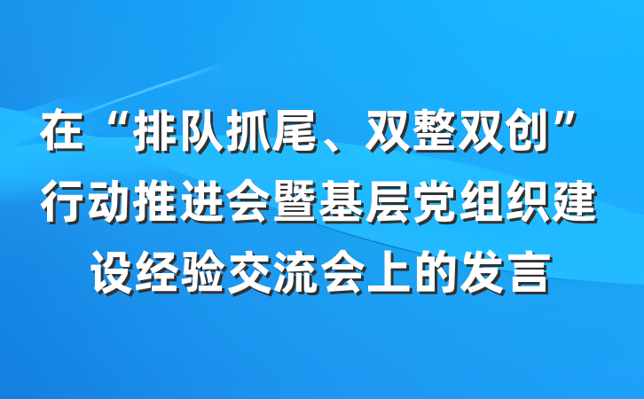 在“排队抓尾、双整双创”行动推进会暨基层党组织建设经验交流会上的发言