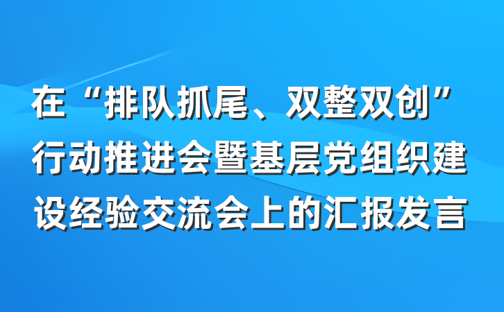 在“排队抓尾、双整双创”行动推进会暨基层党组织建设经验交流会上的汇报发言