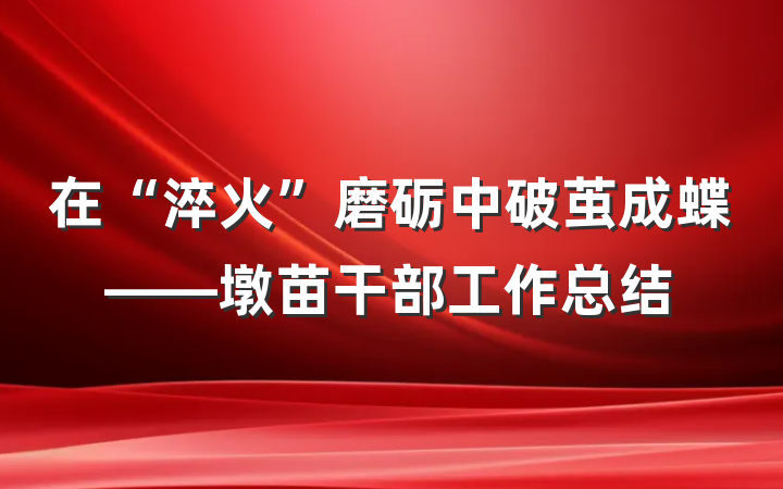 在“淬火”磨砺中破茧成蝶——墩苗干部工作总结