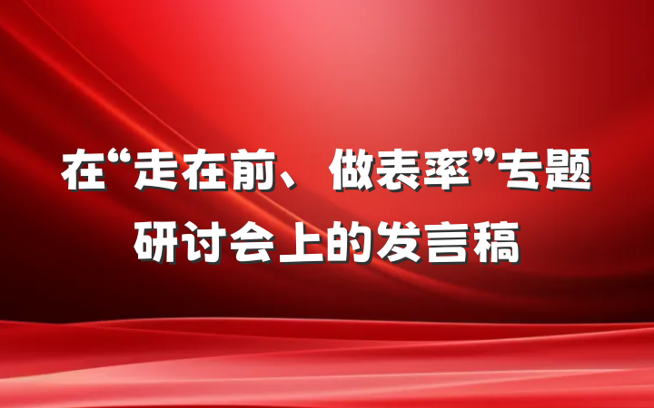 在“走在前、做表率”专题研讨会上的发言稿