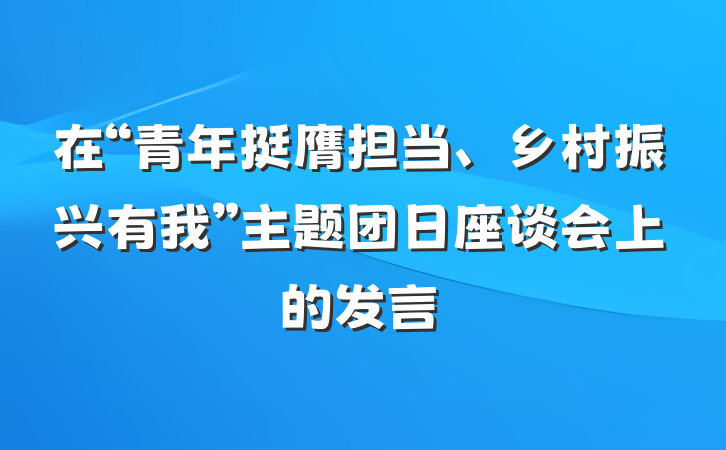 在“青年挺膺担当、乡村振兴有我”主题团日座谈会上的发言